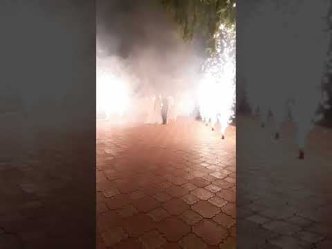 Александр Михайленко