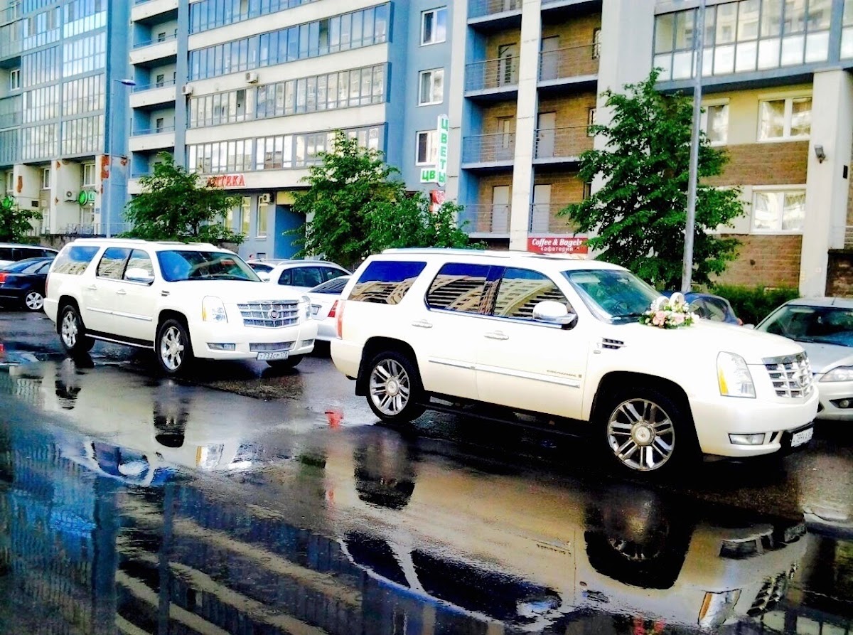 Cadillac Escalade на Праздник