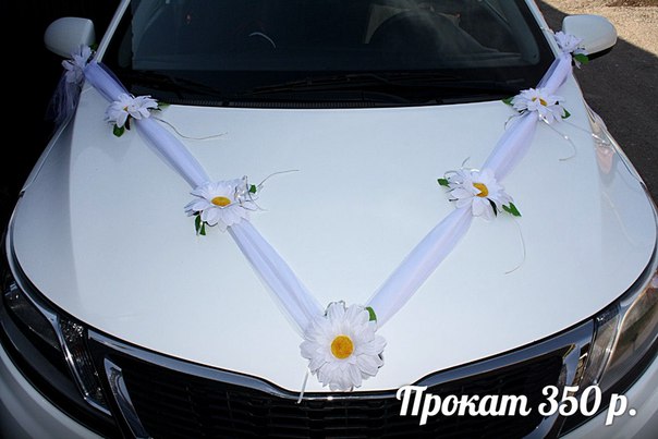 Кадр 78 из 154