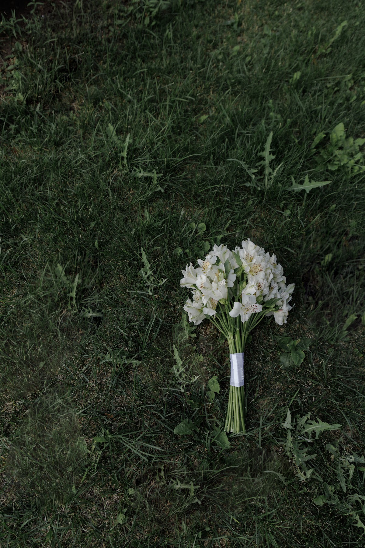 Кадр 45 из 91