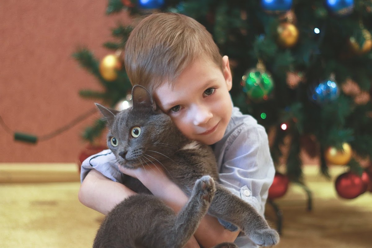 детки