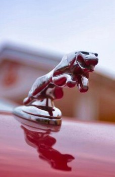 Jaguar X-type — кадр 3 из 7