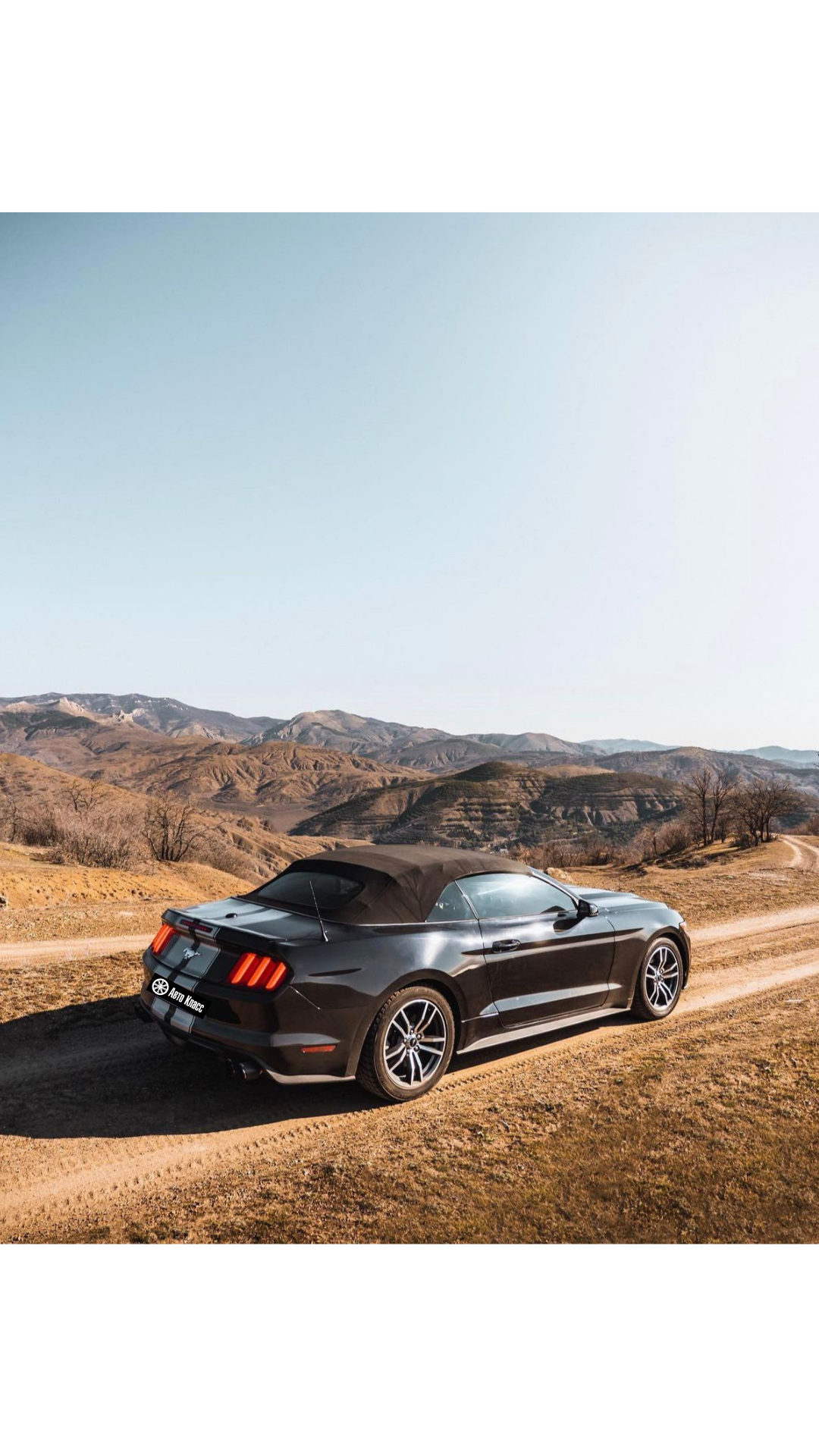 Ford Mustang — кадр 3 из 4