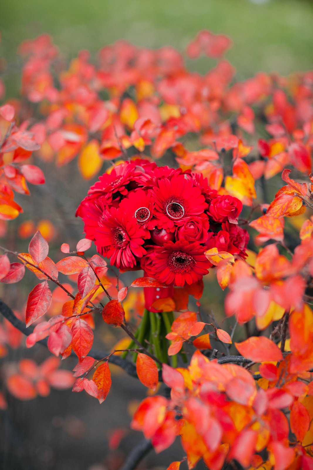 Юля и Ваня