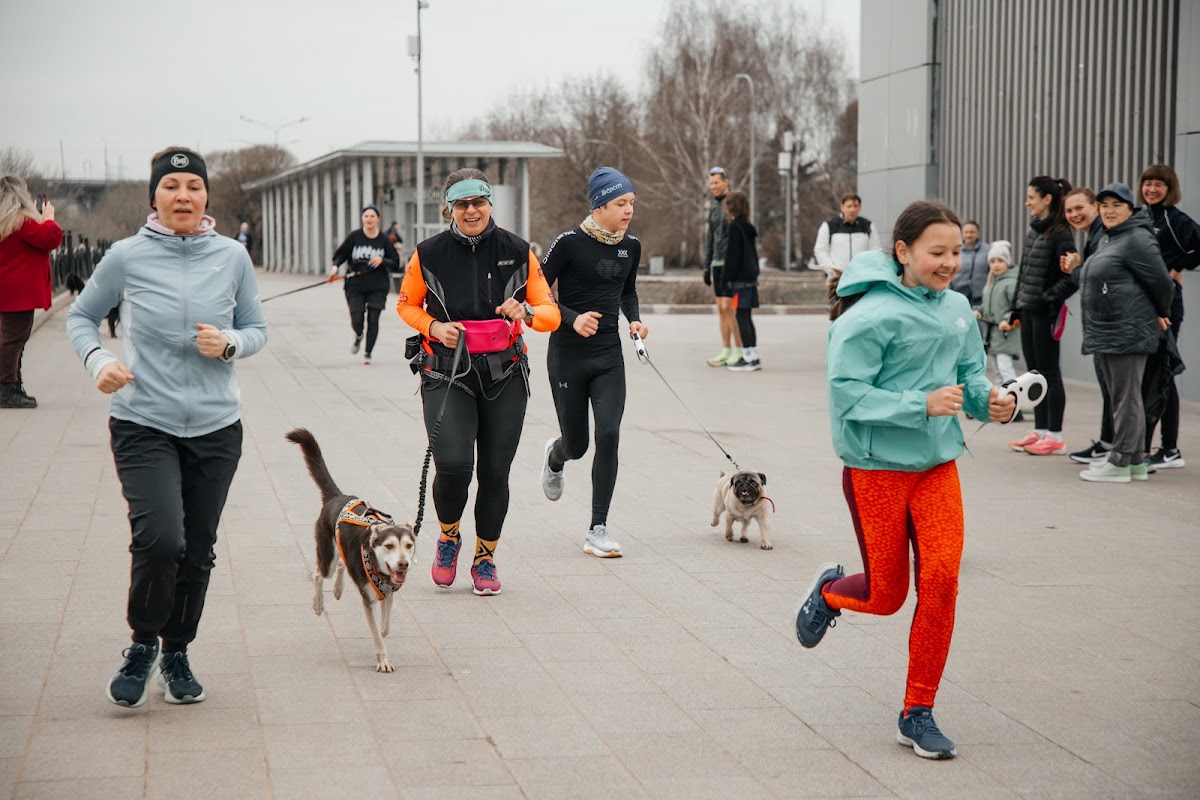 Портфолио: Спорт