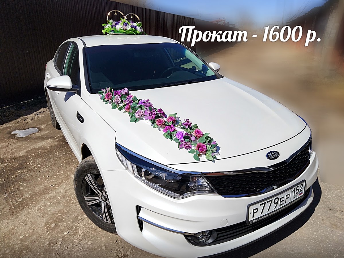 Портфолио