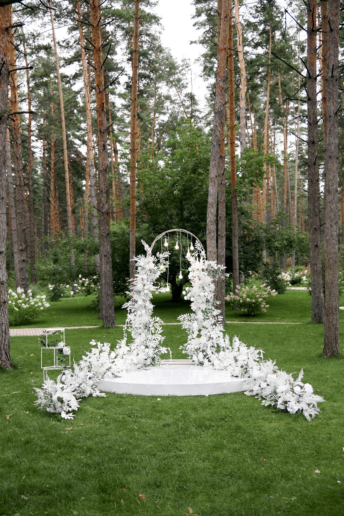 Александра и Игорь