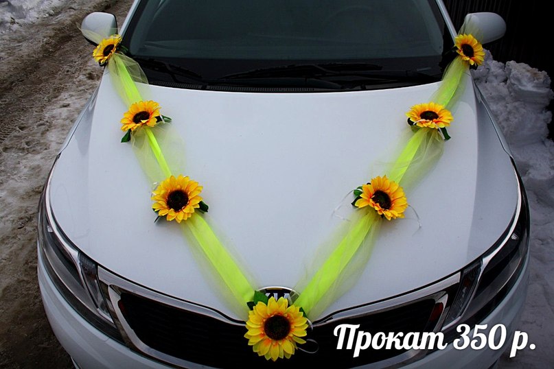 Кадр 104 из 154