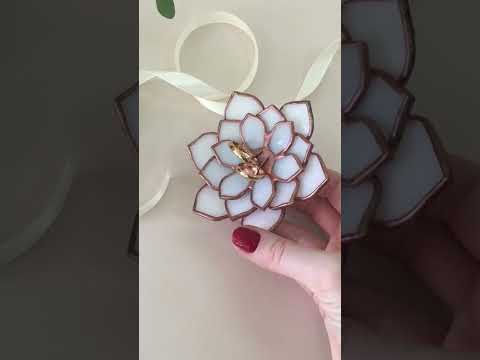 Суккуленты