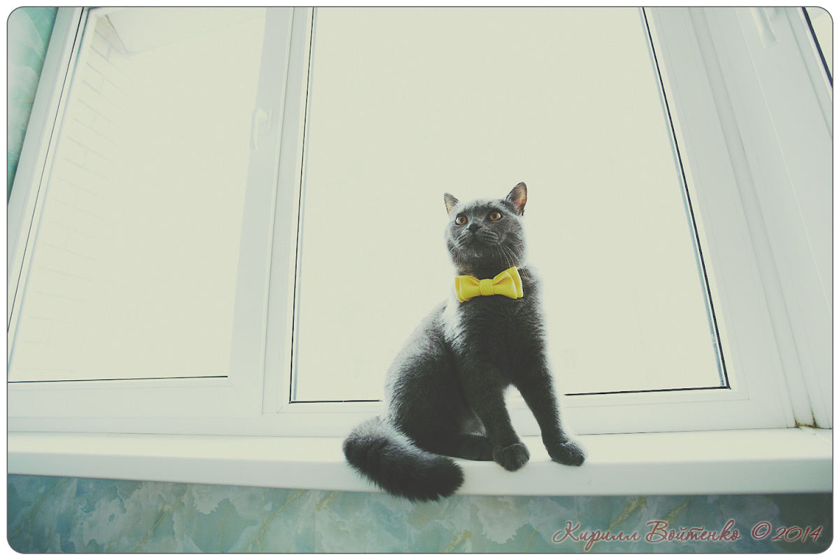 Yellow и Happy
