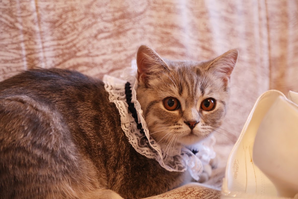 Свадебный отчёт