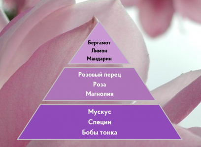 Портфолио