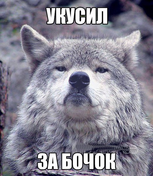 Чуча Барбидосская