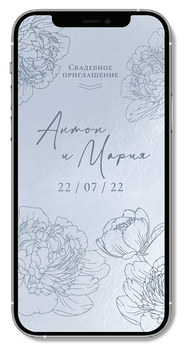Портфолио