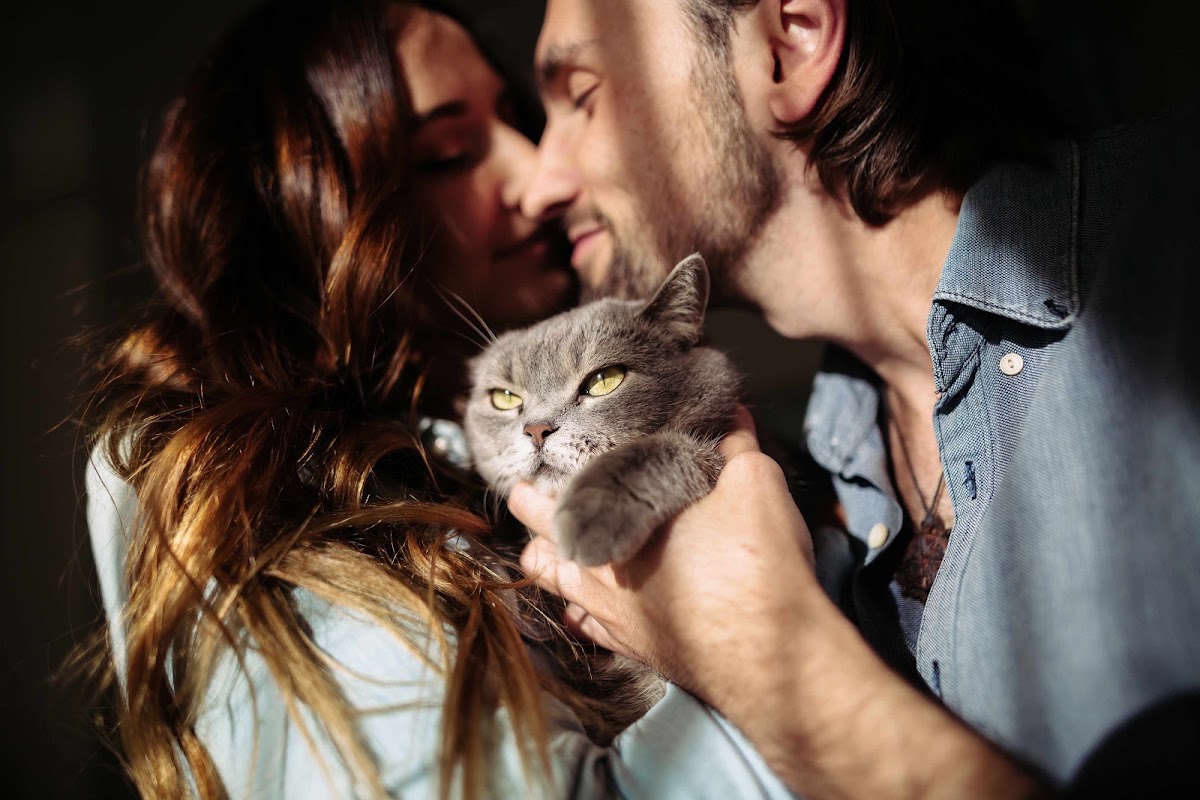 Портфолио: Love story