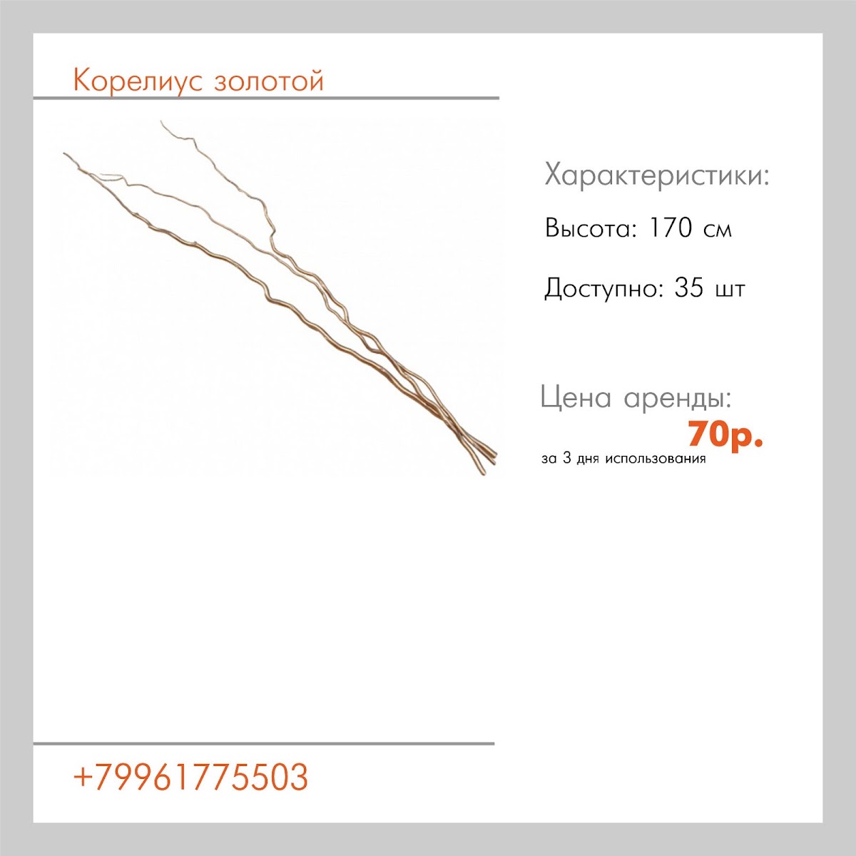 Аксессуары