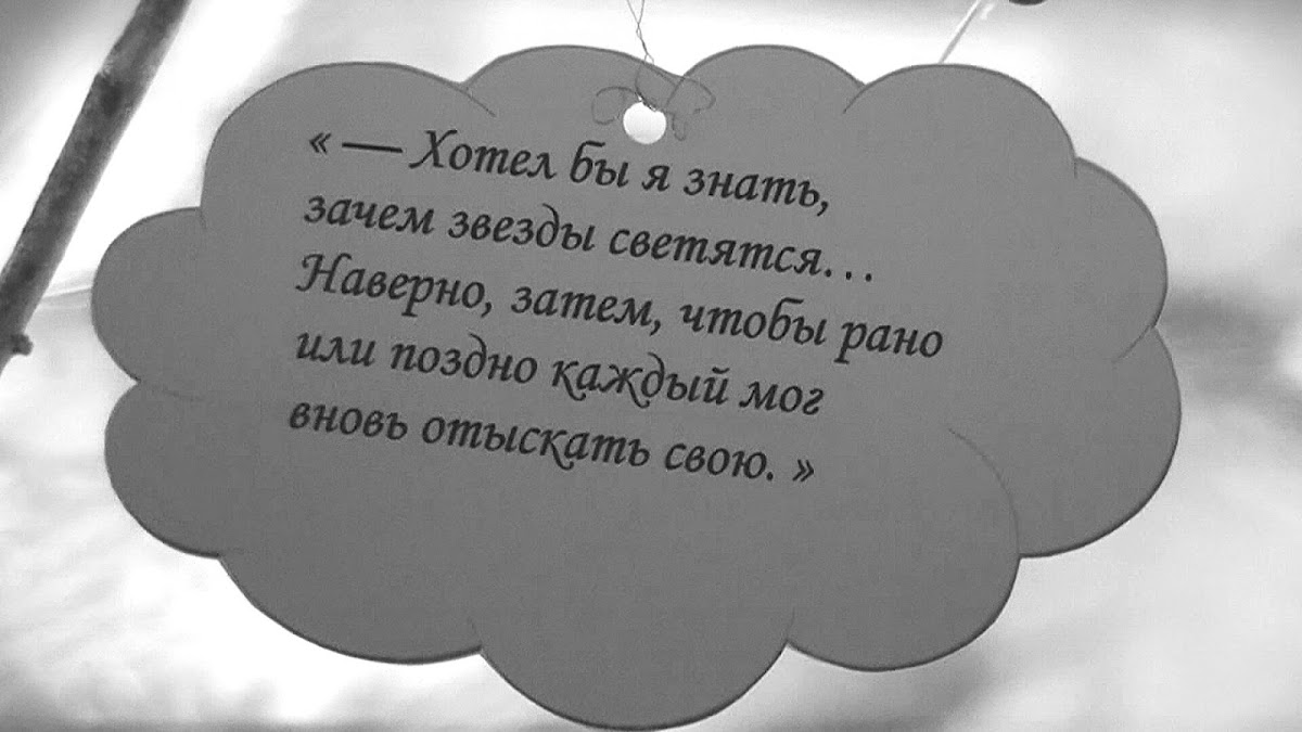 Свадебный отчёт