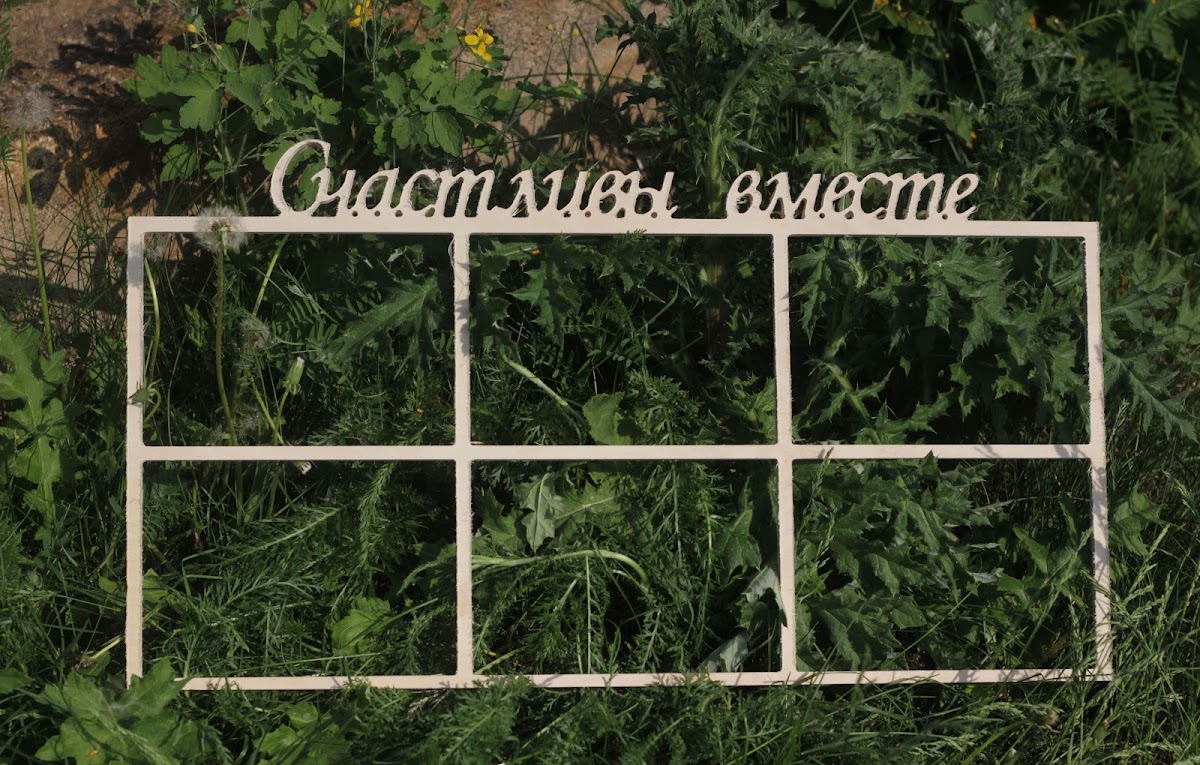 Портфолио
