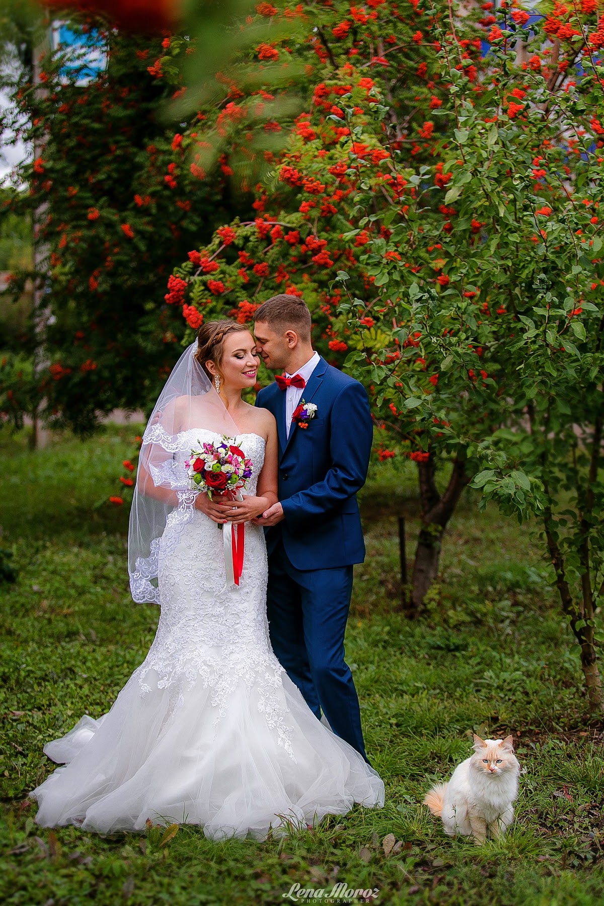 Портфолио: Свадьба