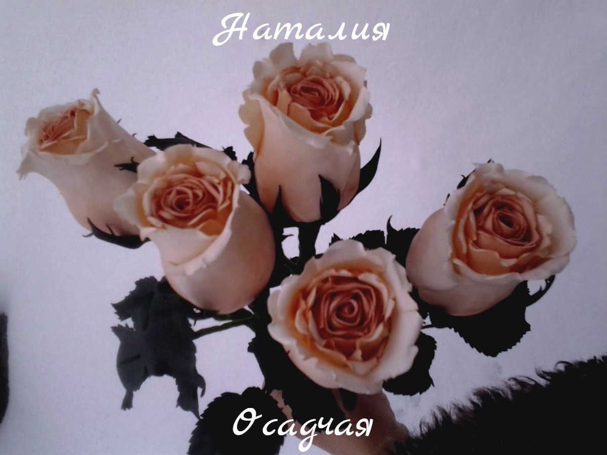 Кадр 68 из 103