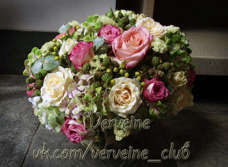 Verveine — кадр 5 из 50