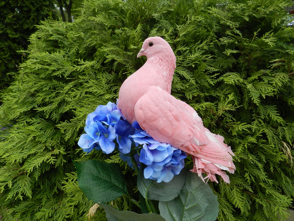 Кадр 10 из 10