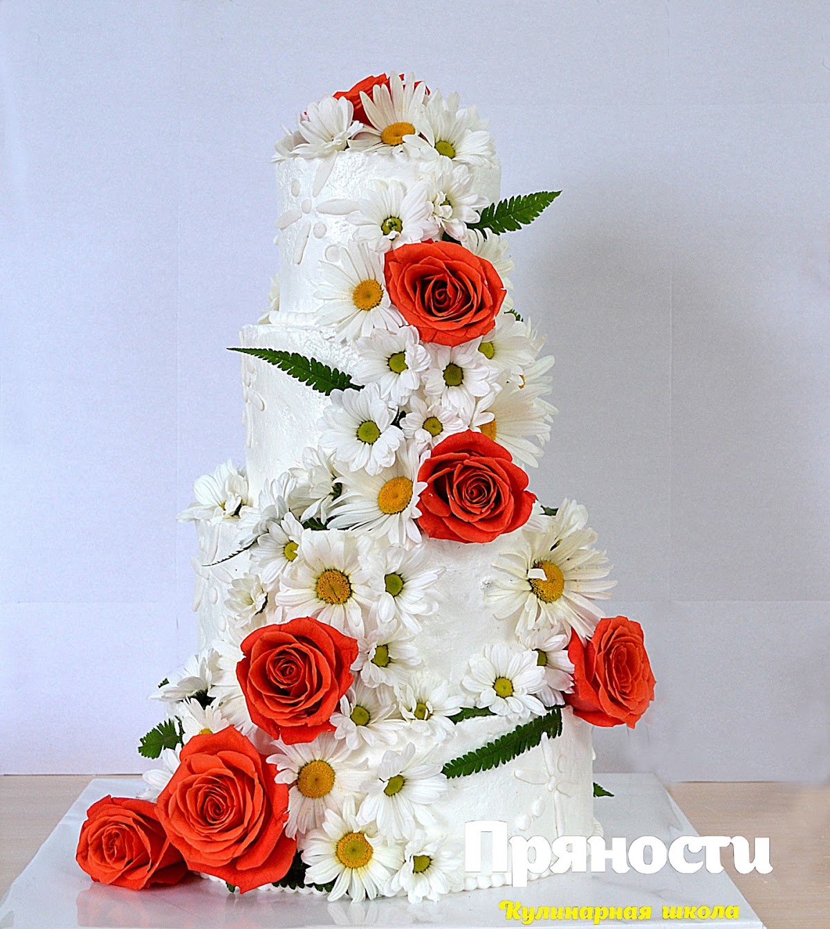 Кадр 33 из 58