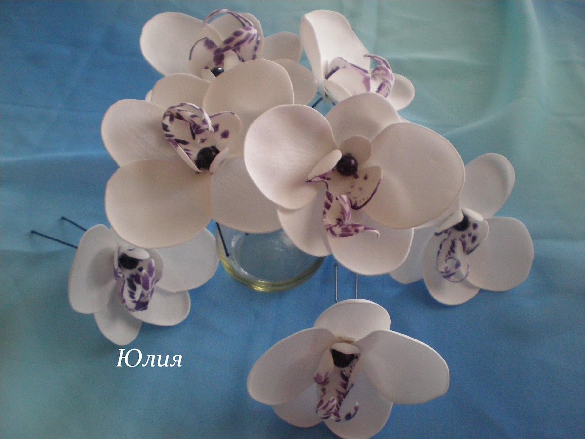 Кадр 12 из 20