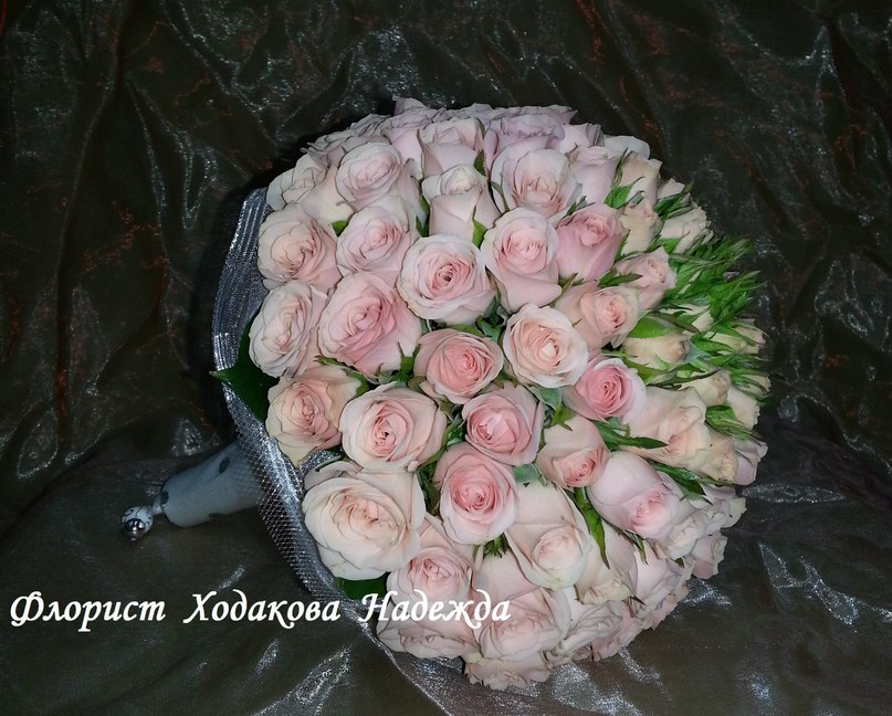 Портфолио