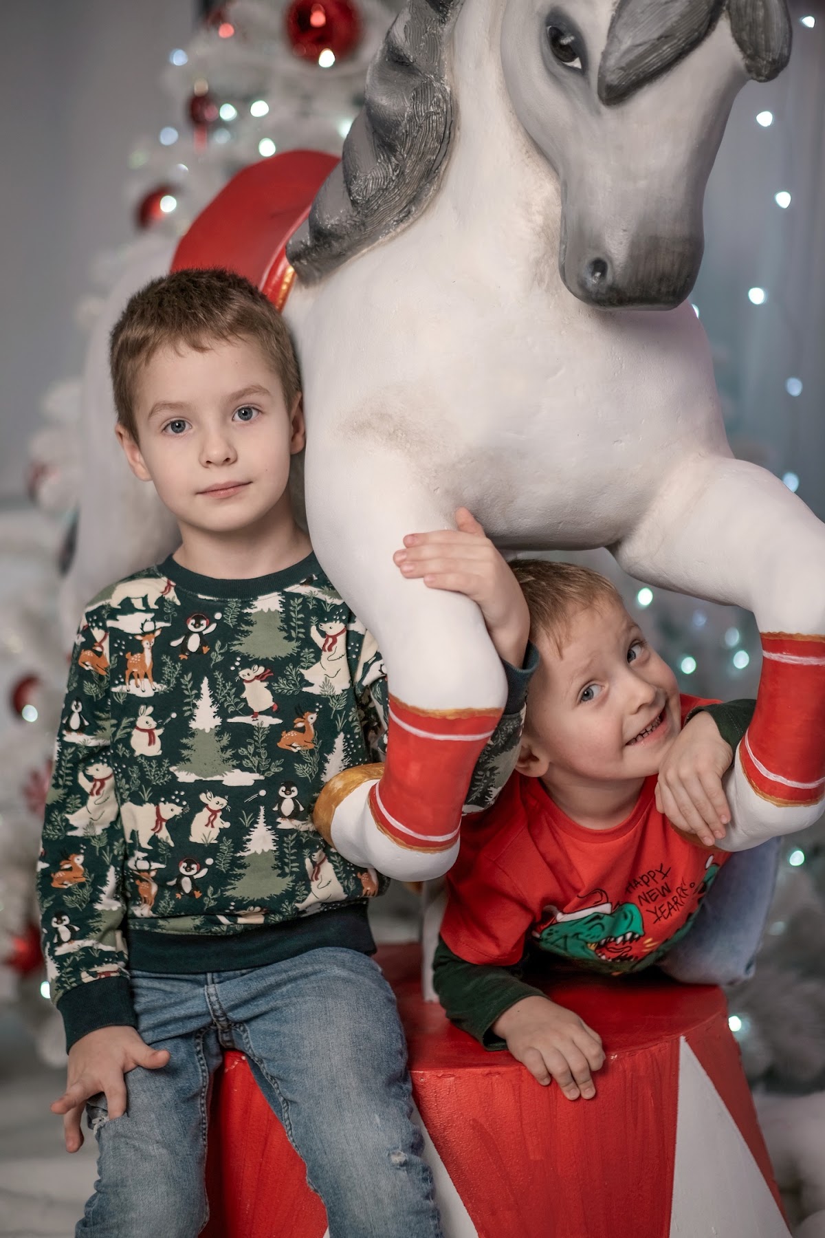 Портфолио: Новогодняя фотосъемка