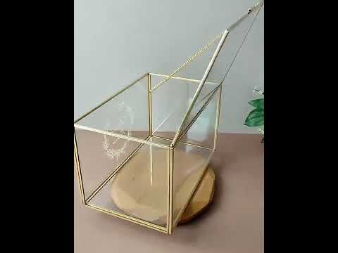 Видеообзоры