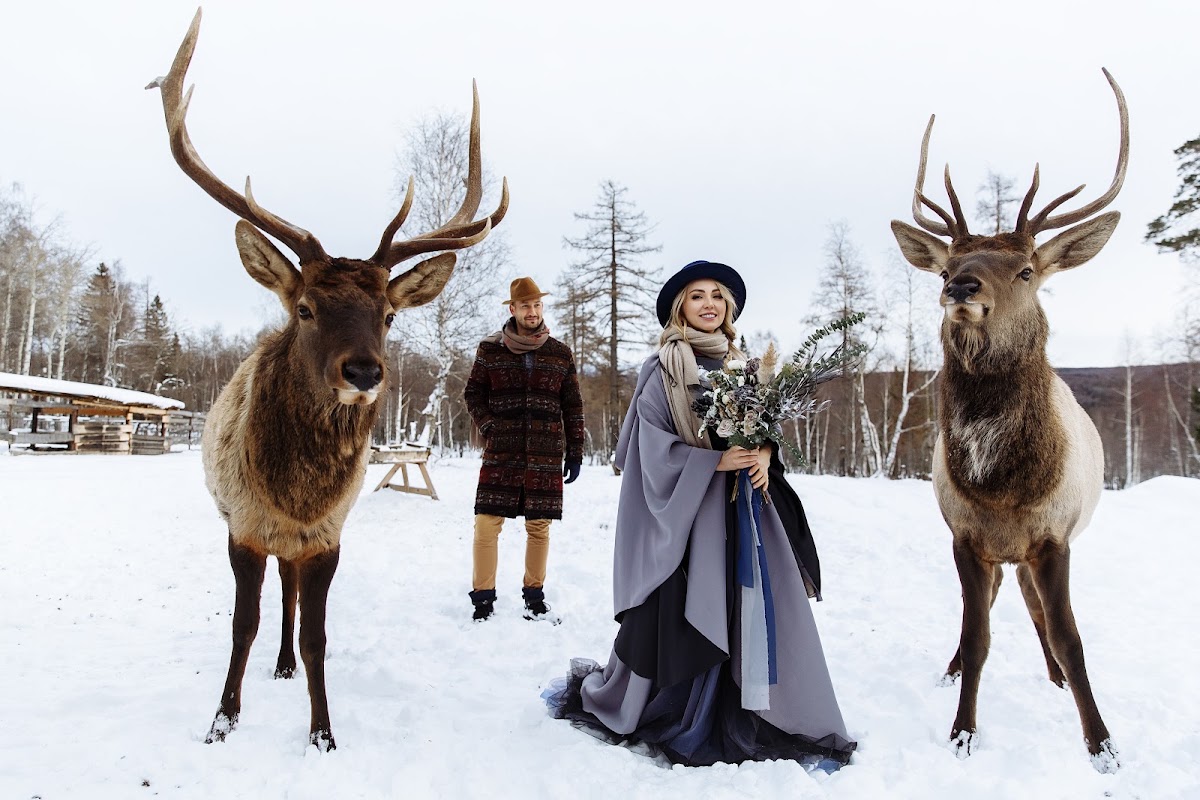 trip to the deer