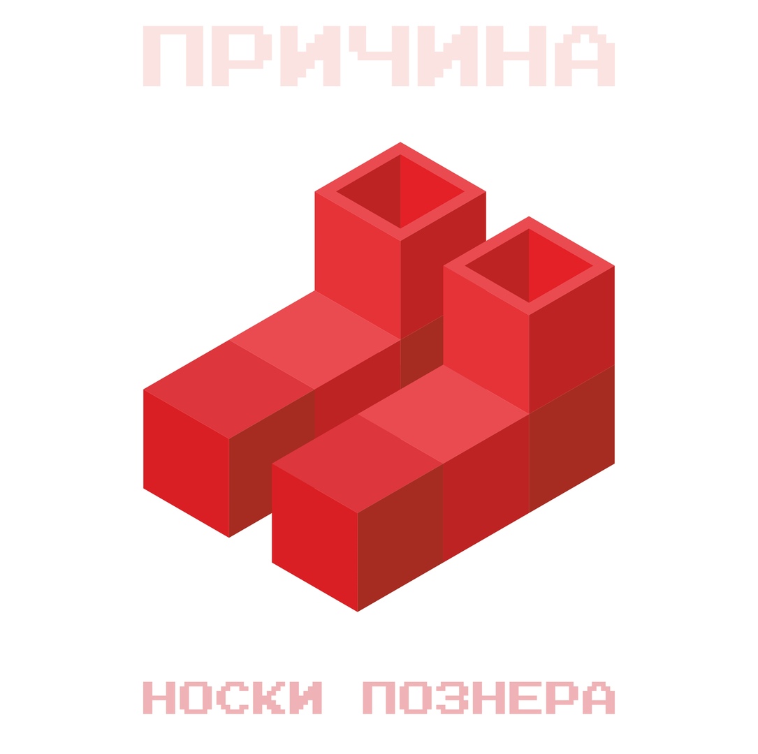 Портфолио: Свадьба