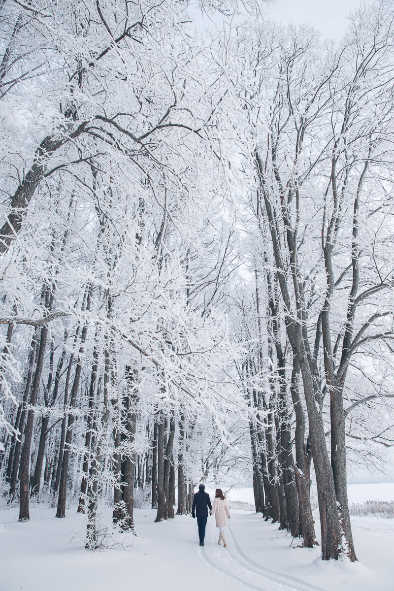 Winter Love Story