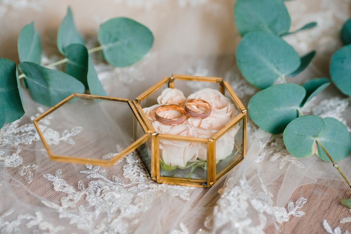 Gold Wedding Sergey&Dar'ya 20.07.2018