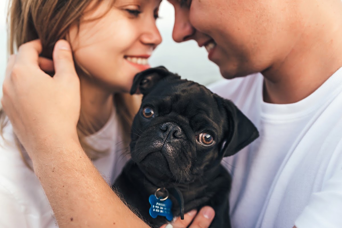 Портфолио: Love story