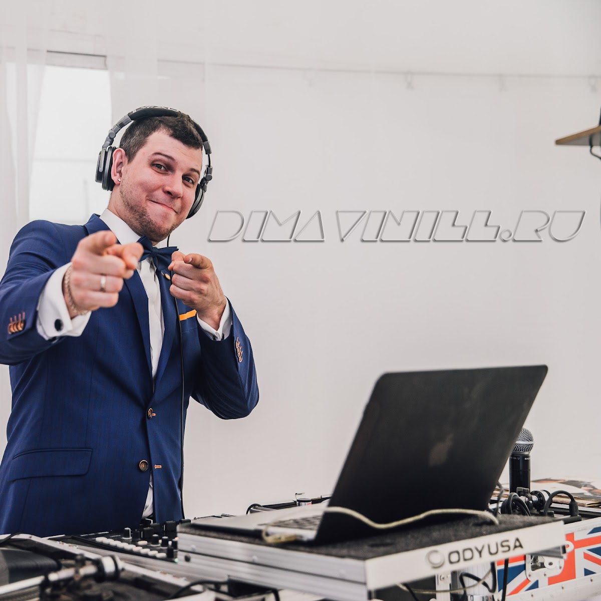 dimavinill.com