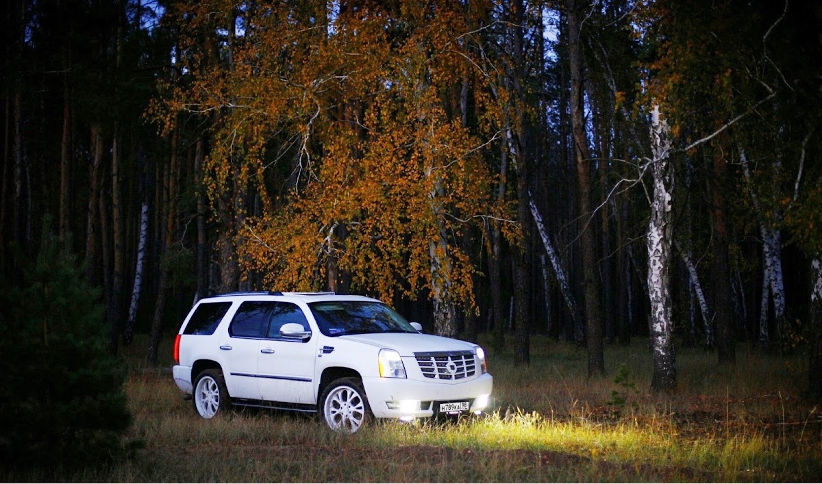 Cadillac Escalade Elite Vip