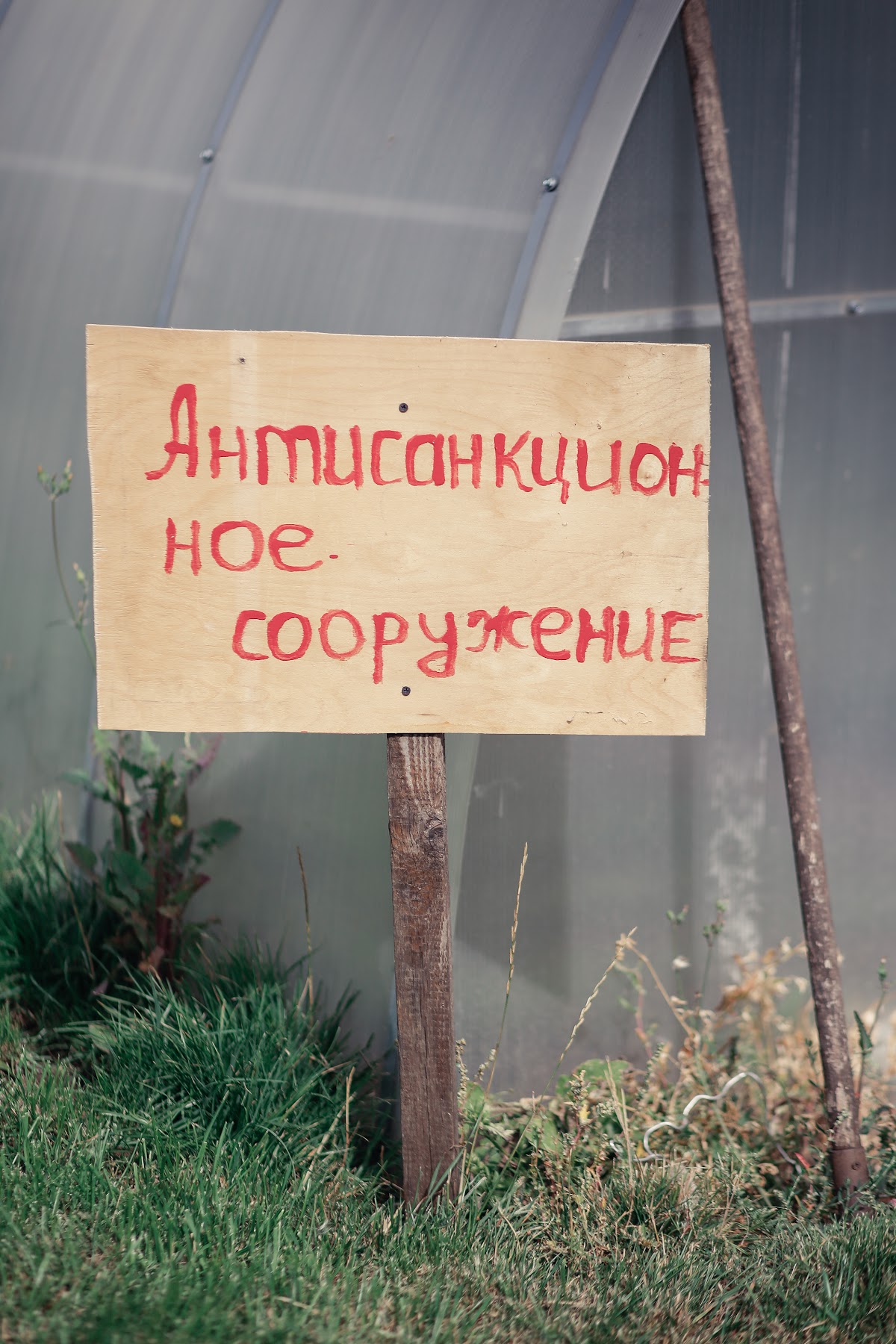 Свадебный отчёт