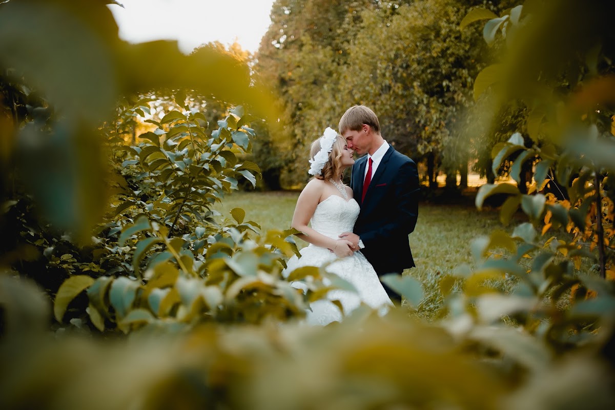 Кадр 44 из 53