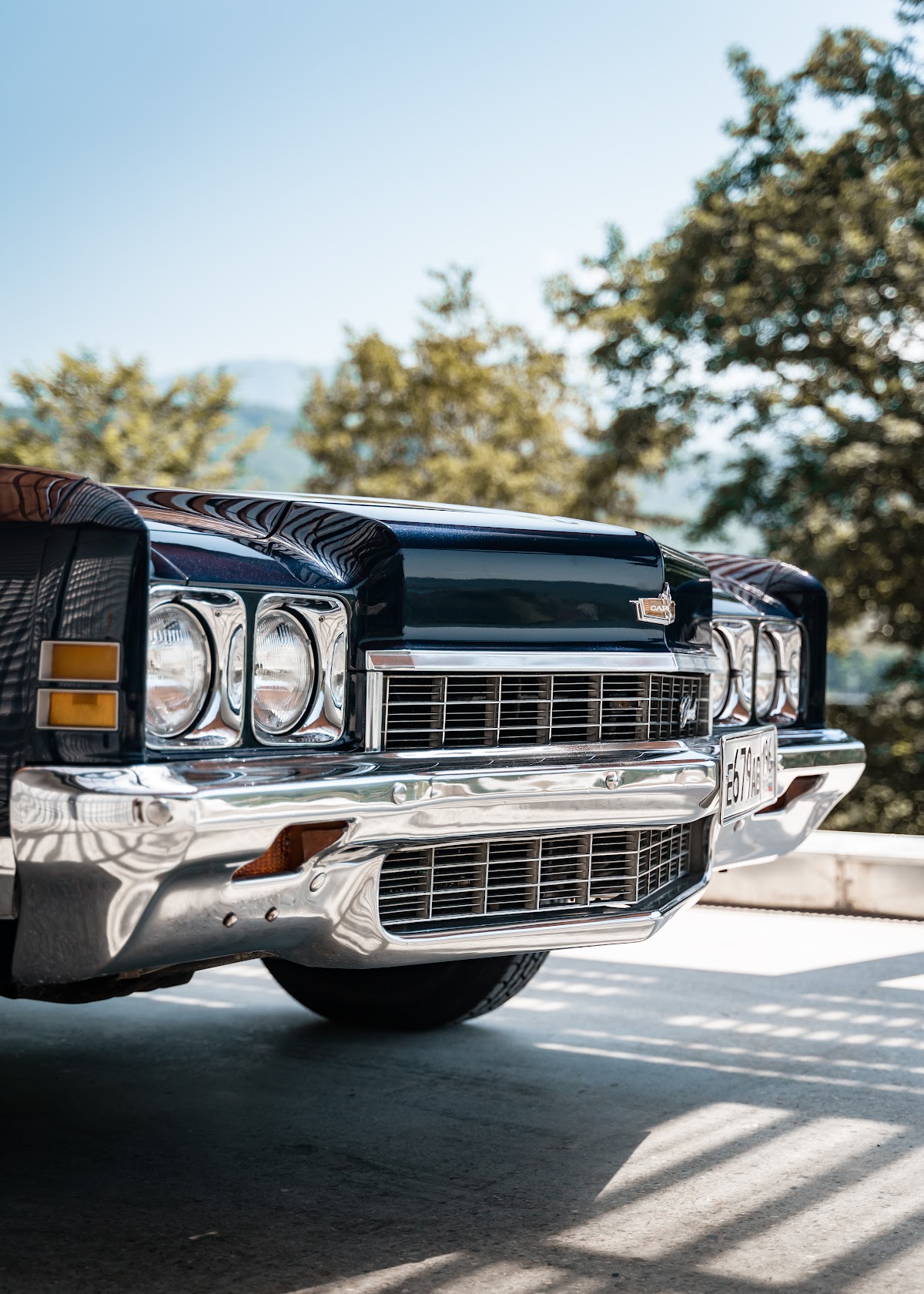 Chevrolet Caprice 1972 — кадр 2 из 7