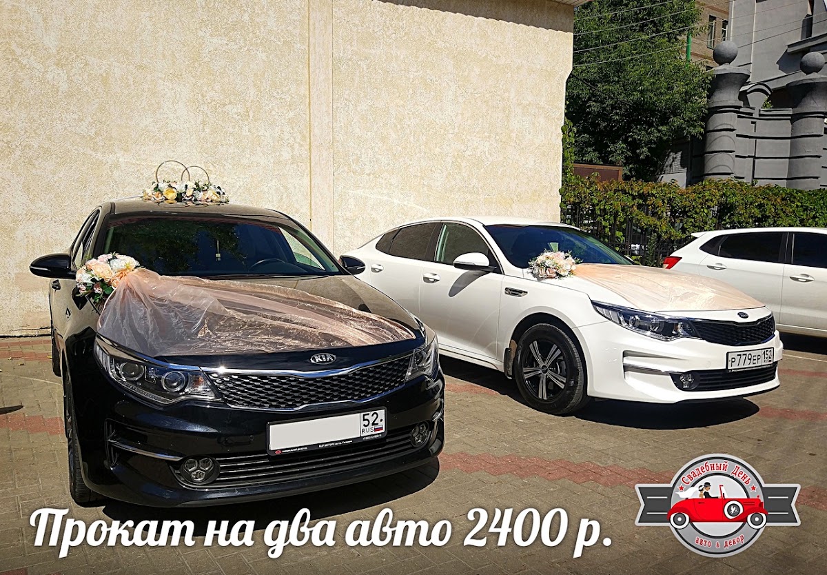 Портфолио