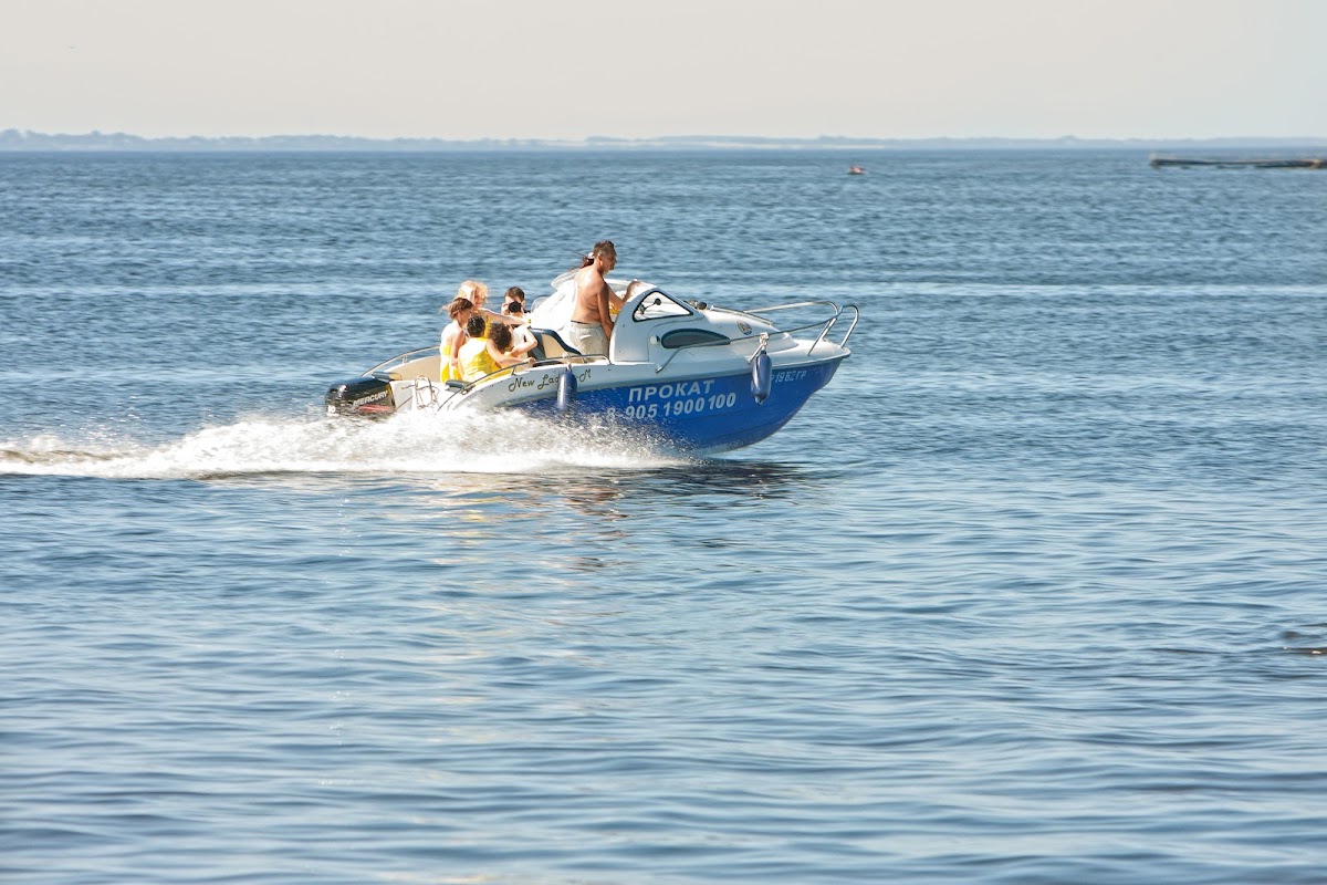 Филл и Ася. Ромашковое безумие.