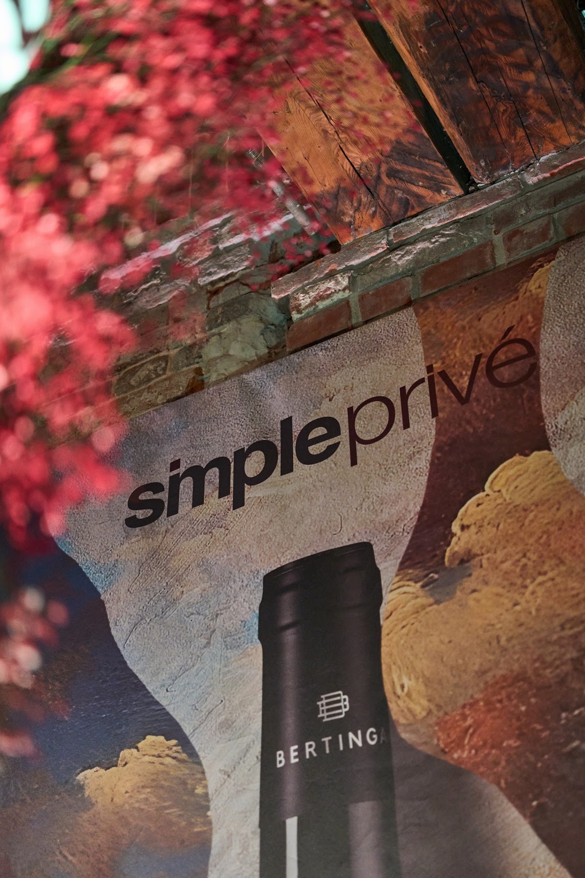 Презентация SimplePrive