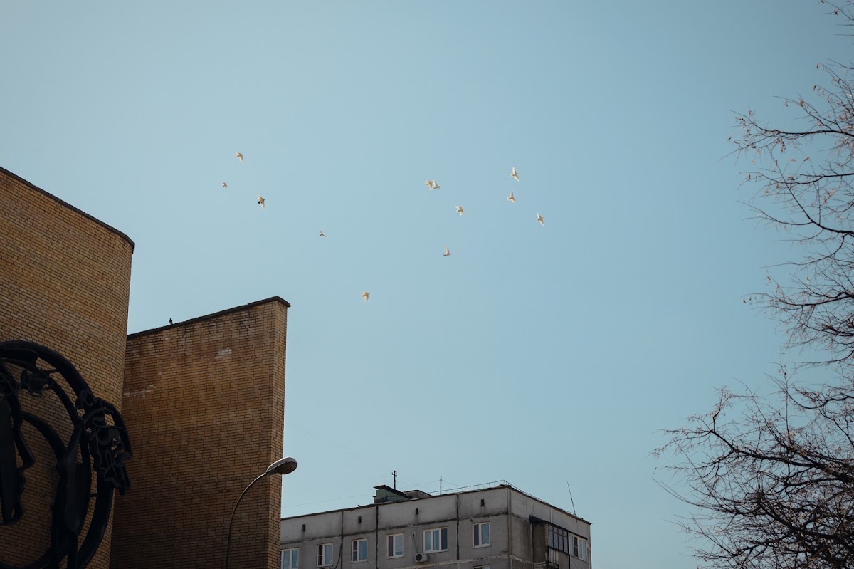 Кадр 39 из 184