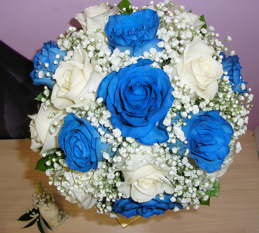 Цвет.ник