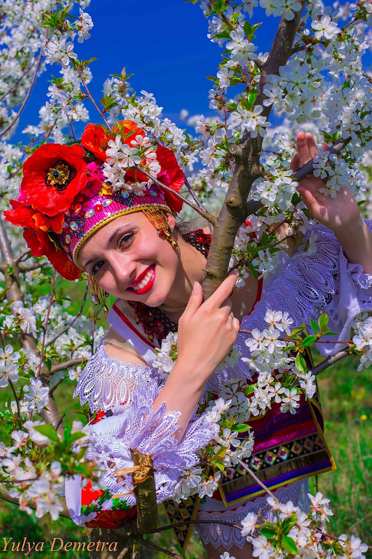 Ой, у вишнэвом, у саду…