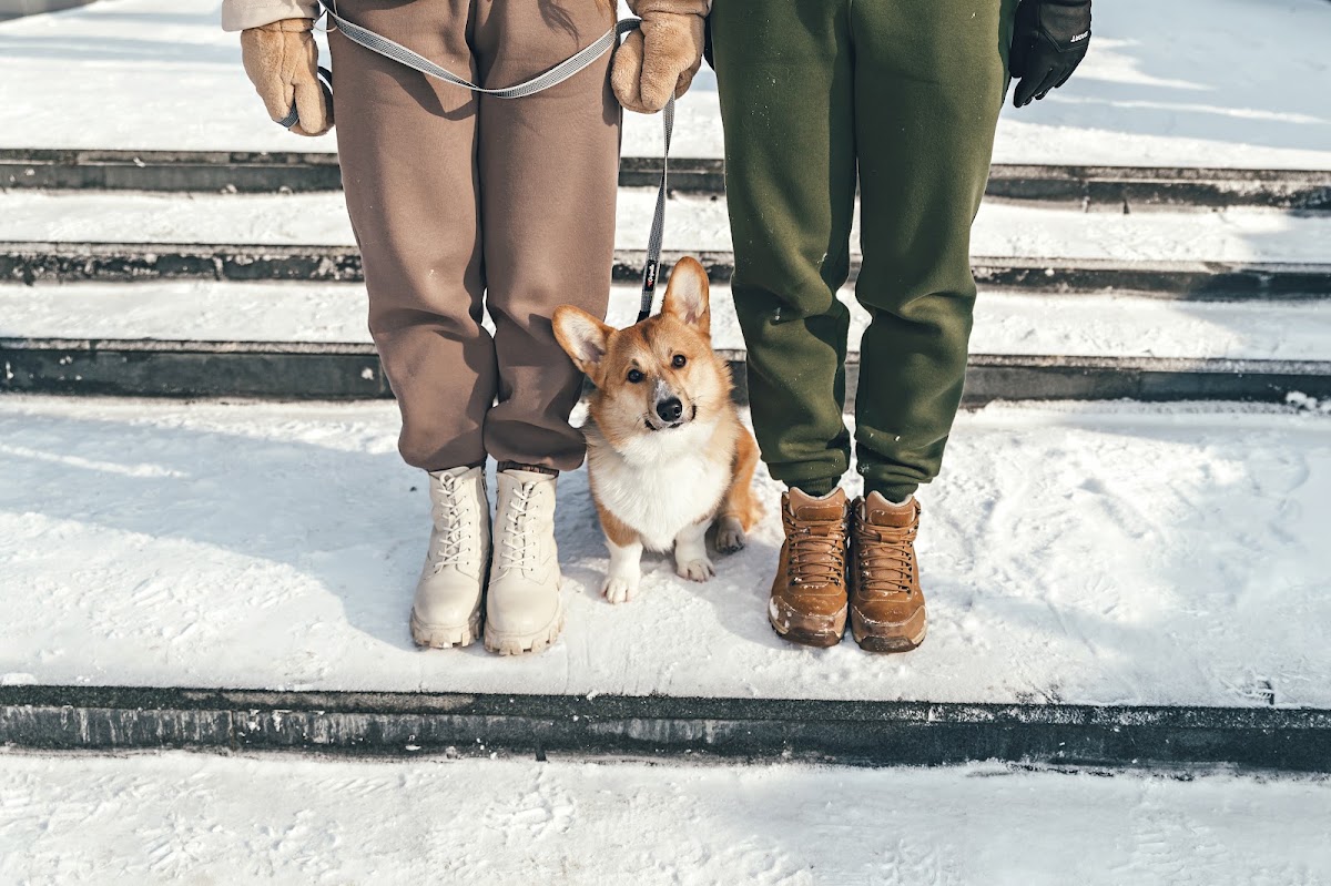 Портфолио: Love story