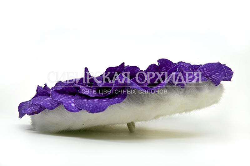 Фотографии