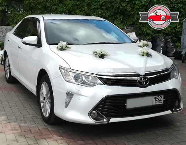 Toyota Camry V55